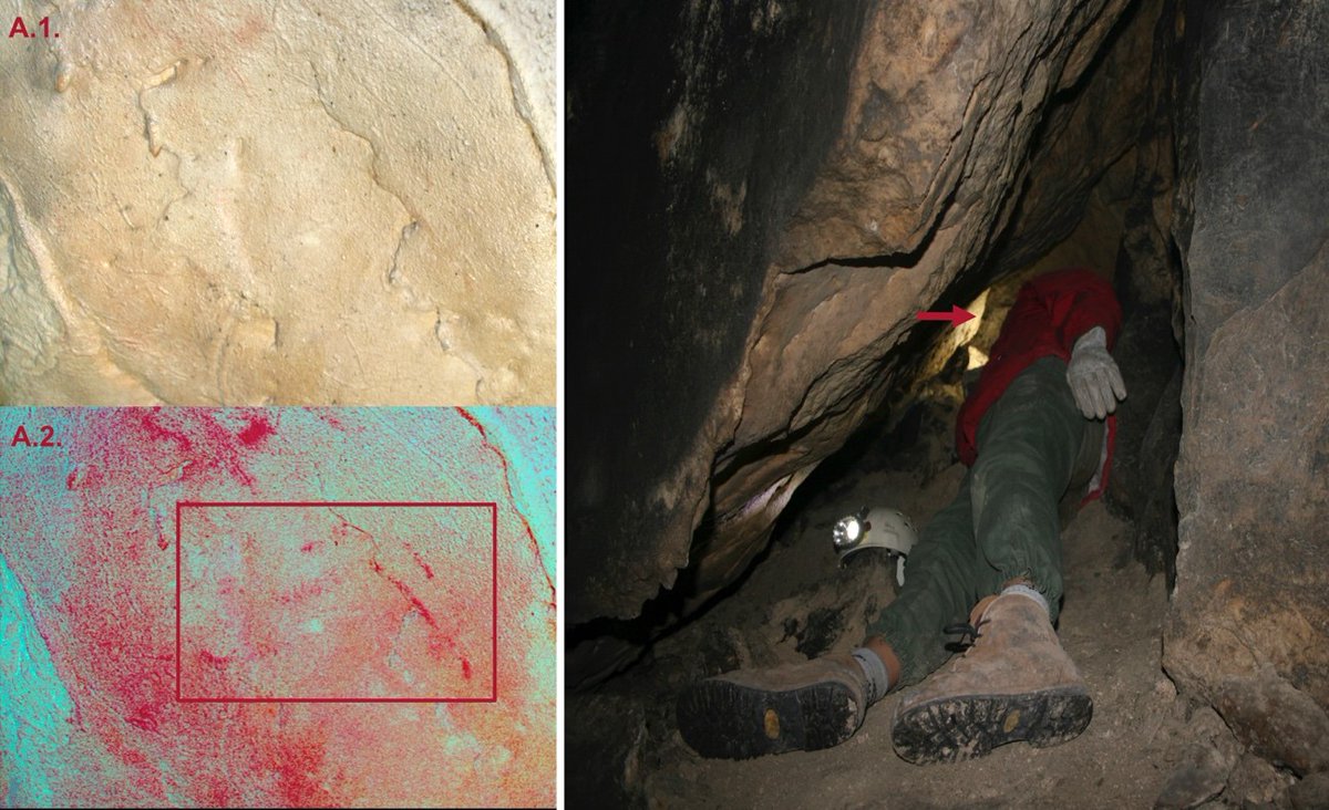 The Paleolihic Art of this cave was expanded with a partial representation of a possible animal and new several red spots and black lines. Likewise, an important deterioration of the known cave-art was verified.