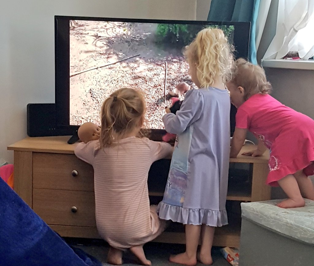 gemroseh's tweet photo. Anyone else tuned in to chester zoo the girls are loving the otters @MeynellSchool https://t.co/I4tcVyz6RB