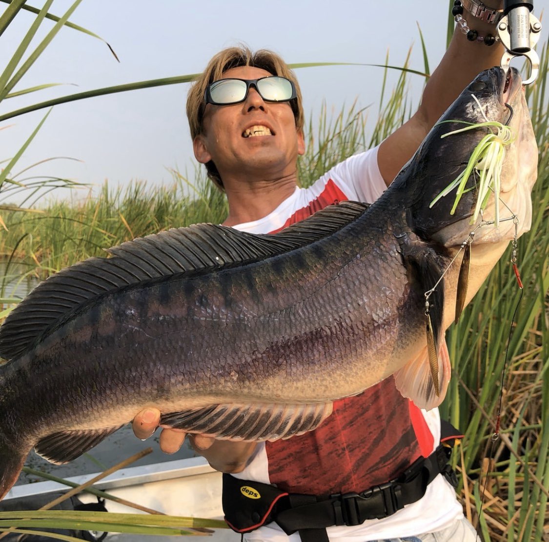 残り1組早い者勝ち　ヤマシタ　ロケッティア　エギ　3.5号　20本 オニちゃん@ONI_052からのバトン😎 タイでスネークヘッド3種を1日で