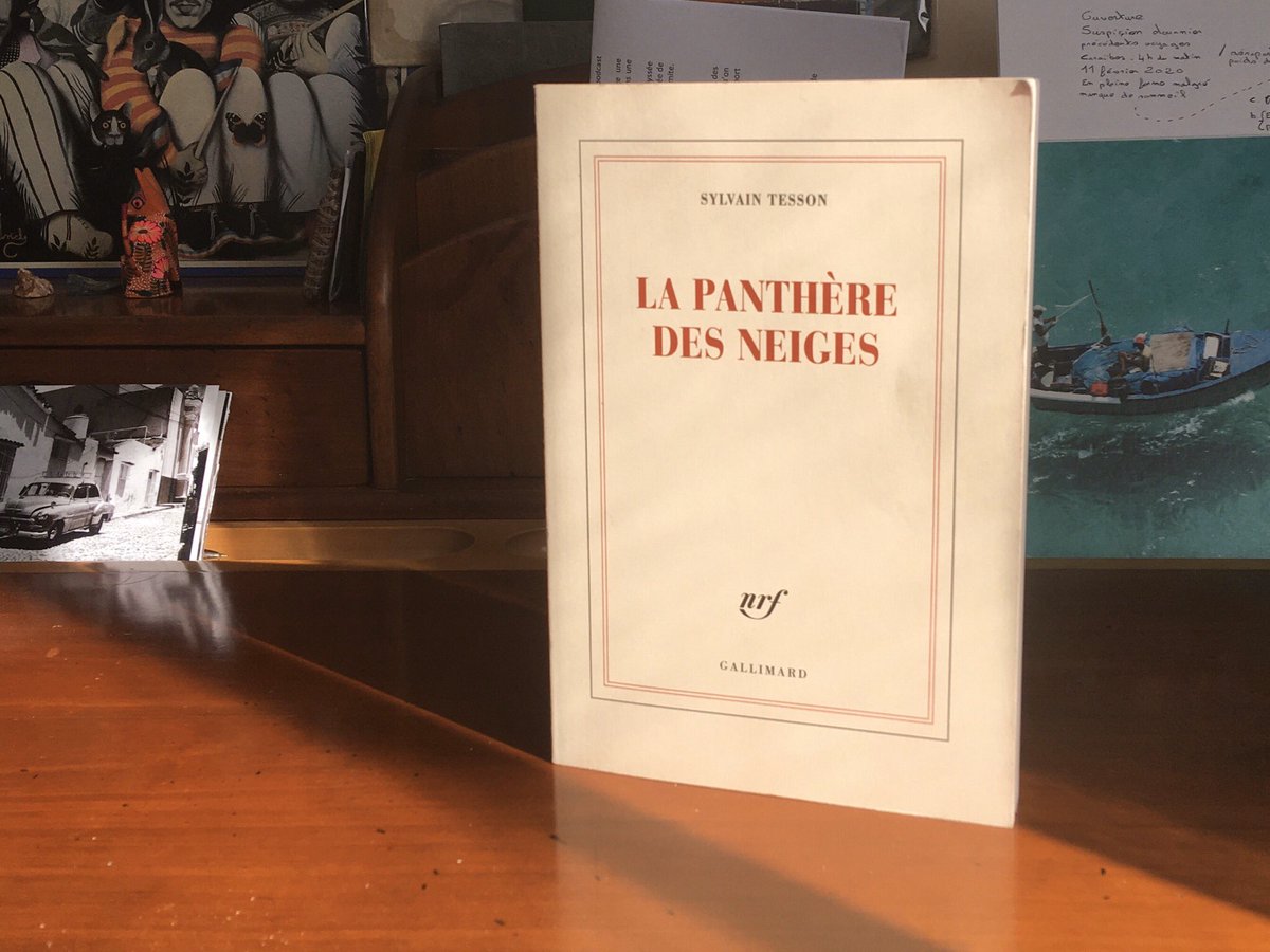 La panthère des neiges. Par Sylvain Tesson aux éditions  @Gallimard. Une évidence d’inclure cet écrivain tant ses livres remplissent ma bibliothèque  Prix Renaudot 2019. Une leçon de vie 