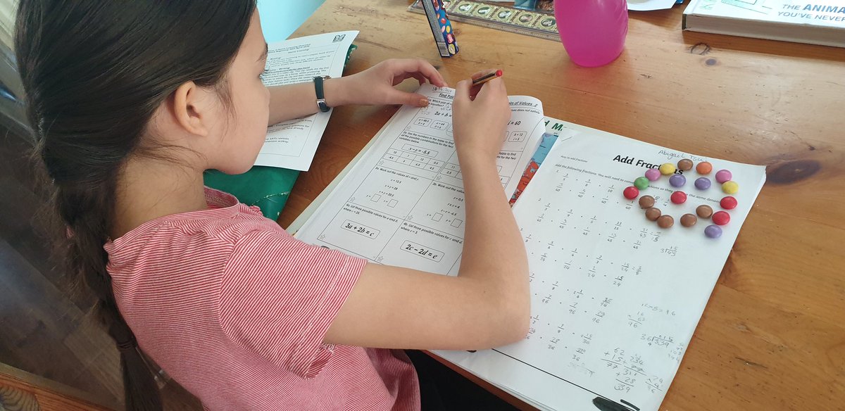 TsuiAllen's tweet photo. ...meanwhile his sister has found a concrete way of supporting her Maths learning #OnlySmartiesHaveTheAnswer https://t.co/aoUYlZh97A