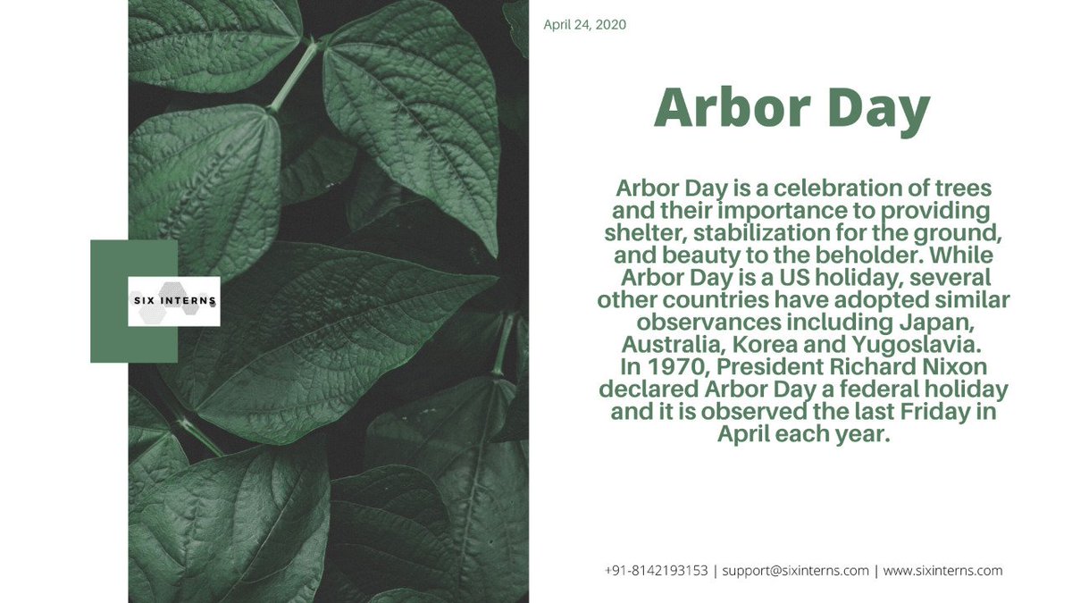 SixInterns's tweet photo. For all the things that the trees do for us we do nothing for them, instead what we do is harm them in ways more than one. So this Arbour day don't only be thankful for trees around you but also plant one.
More tress=More life

#GoGreen https://t.co/eh3feQ7Y5n