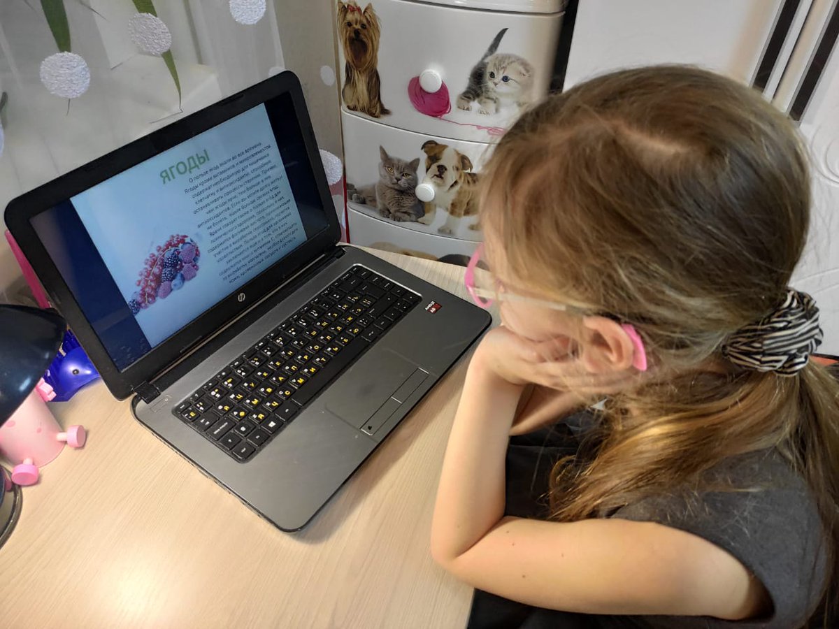 ЕДА ЖИВАЯ И МЕРТВАЯ. НОВОМОСКОВСКИЕ ШКОЛЬНИКИ УЗНАЛИ, КАК ПРАВИЛЬНО ПИТАТЬСЯ, ЧТОБЫ УКРЕПИТЬ ИММУНИТЕТ
Педагоги ТРОО «Экологическая защита» подготовили для новомосковских школьников интерактивное занятие «Ты - то, что ты ешь» vk.com/ecozaschita?w=…