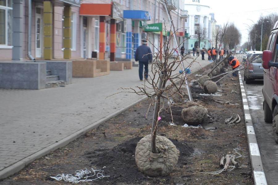 НОВОМОСКОВСК, ДЫШИ! В ЦЕНТРЕ ГОРОДА ВЫСАЖЕНА МОЛОДАЯ ЛИПОВАЯ АЛЛЕЯ
Озеленение ул. Комсомолькая прошло в рамках акции «Новомосковск, дыши!», организатором которой уже 6 лет выступает ТРОО «Экологическая защита» vk.com/ecozaschita?w=…