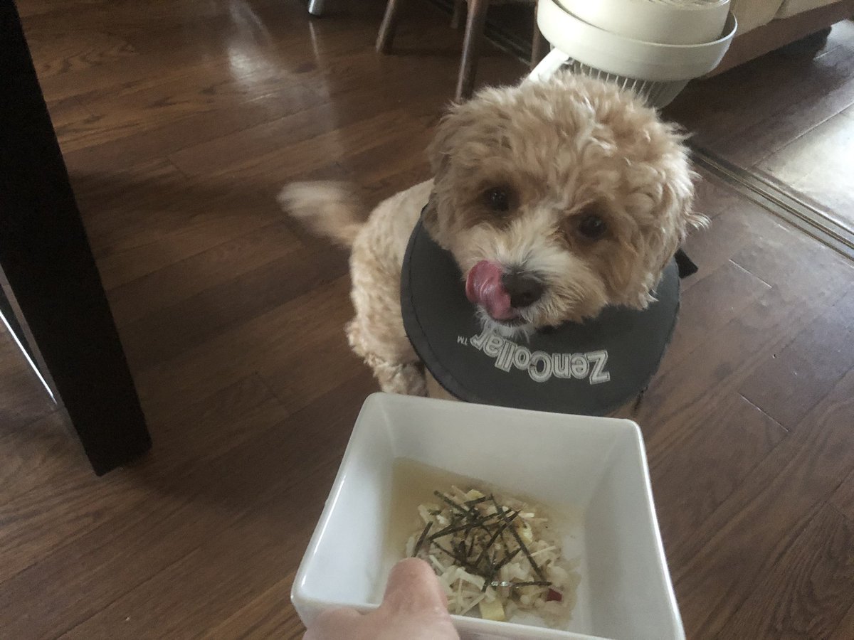 ブラブロ 今日の手作り犬ごはん しめじ ゴボウ 豚ひき肉 鰹節 刻み海苔 白ごはん サツマイモ ブラメシ