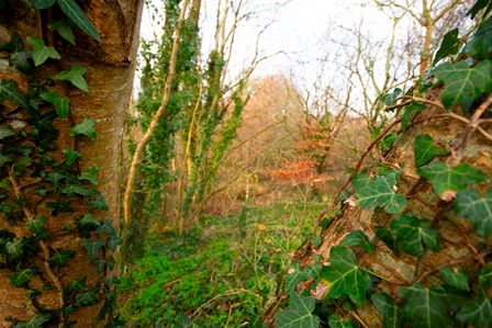 WestcountryRT's tweet photo. As a #Cornwall resident, you can share your views and suggestions on new planning rules to help tackle the climate emergency. Visit @CornwallCouncil  https://t.co/8iNHP6h1Jf to take part by 15 May. #greenenergy #efficienthousing #enhancingenvironment #communityresilience https://t.co/NwF3bweL8g
