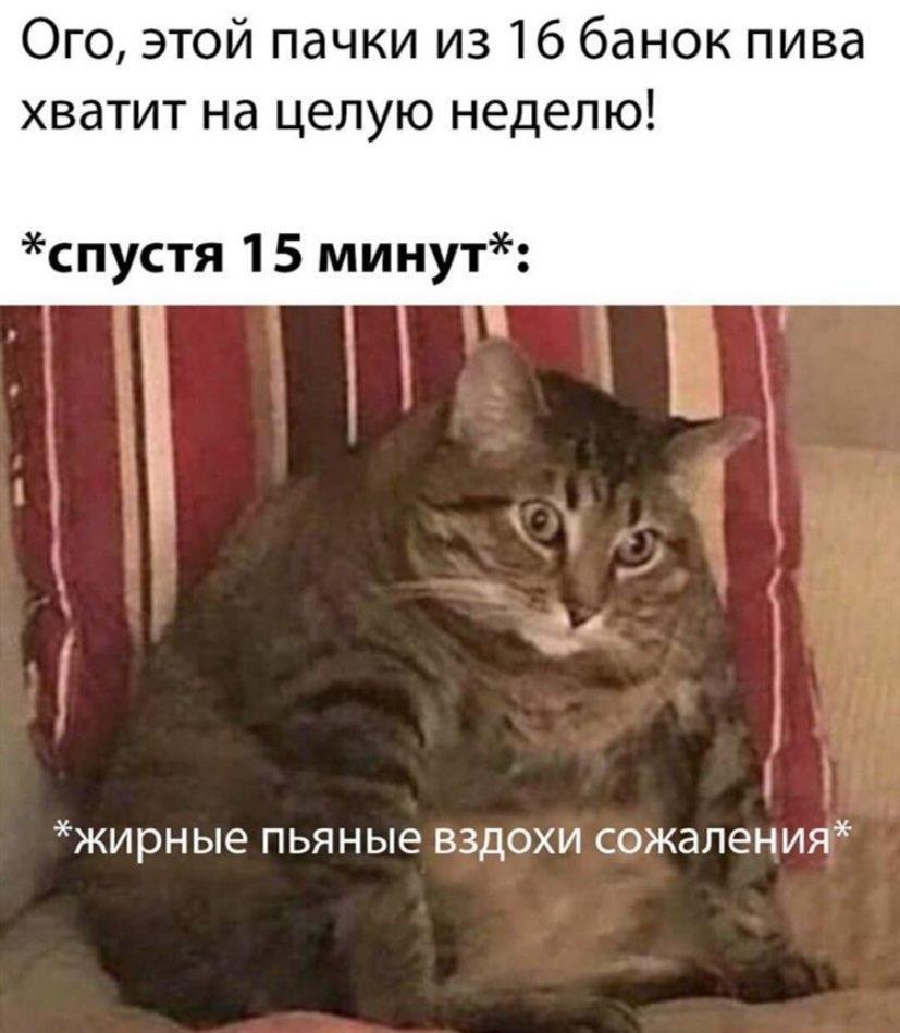 RussianMemesLtd's tweet photo. Wow, that 16-pack of beer is enough for a whole week!

*after 15 minutes*

fat drunk sighs of regret https://t.co/zbLwEGPGpR