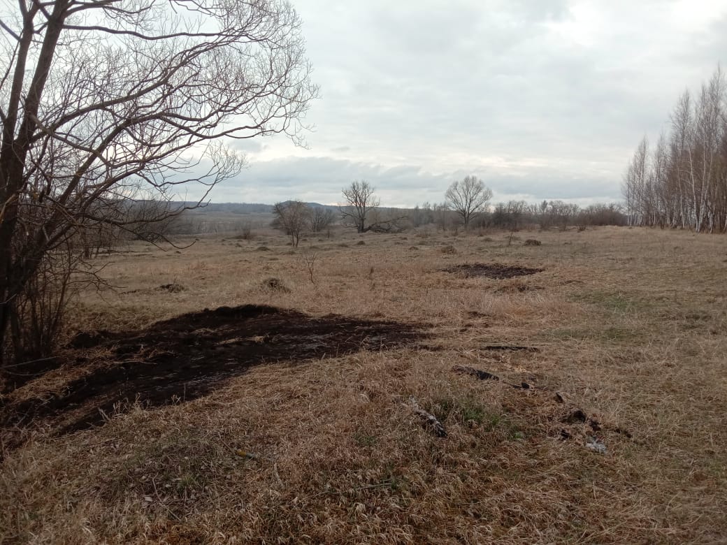 СВАЛКИ ПОД КИМОВСКОМ ОПЕРАТИВНО ЛИКВИДИРОВАНЫ 
Все пять свалок, обнаруженных Тульской региональной общественной организацией «Экологическая защита» в районе автодороги Кимовск-Донской, были оперативно ликвидированы администрацией МО Кимовского района.vk.com/ecozaschita?w=…