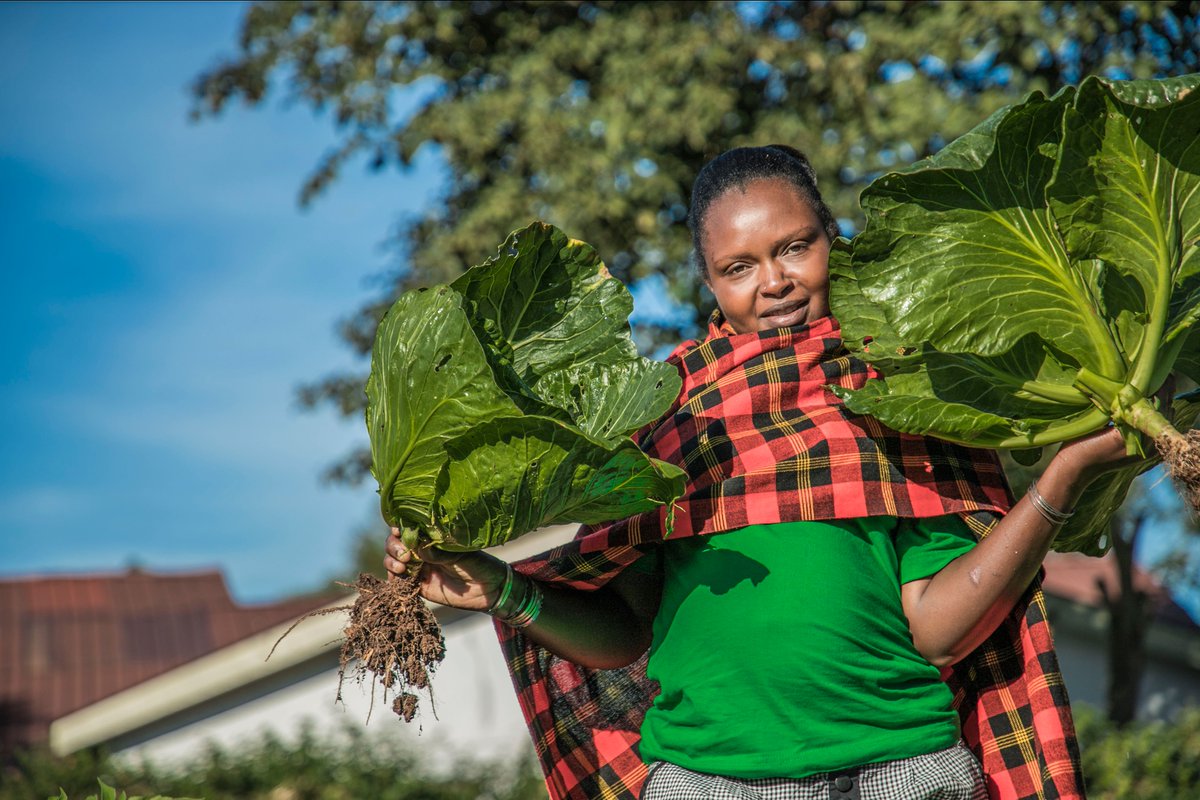 Thrive4Good's tweet image. "Good health can’t be bought, it must be earned."

#growinghealth
#Health 
#ThriveforGood