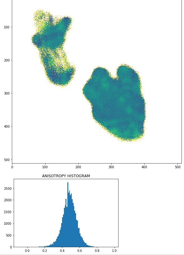 Hamidsollyy's tweet photo. Today, I wrote #Fluorescence #Anisotropy #Imaging #Microscopy (#FAIM) #code on #Python.
#FAIM will give you #depolarisation map of your FL image and unravel lots of valuable information about #molecular #dynamics in your system.
Happy to share (PM me if you want code) https://t.co/96OsIX18zb