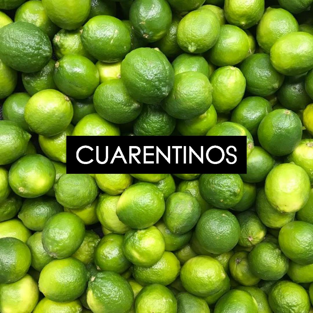 En lo que vuelve todo a la normalidad, para poder generar ingresos creamos <a href="/cuarentinospr/">Cuarentino</a>. Siguenos en instagram 🙏🏽 instagram.com/cuarentinospr?… #PaLaSeca