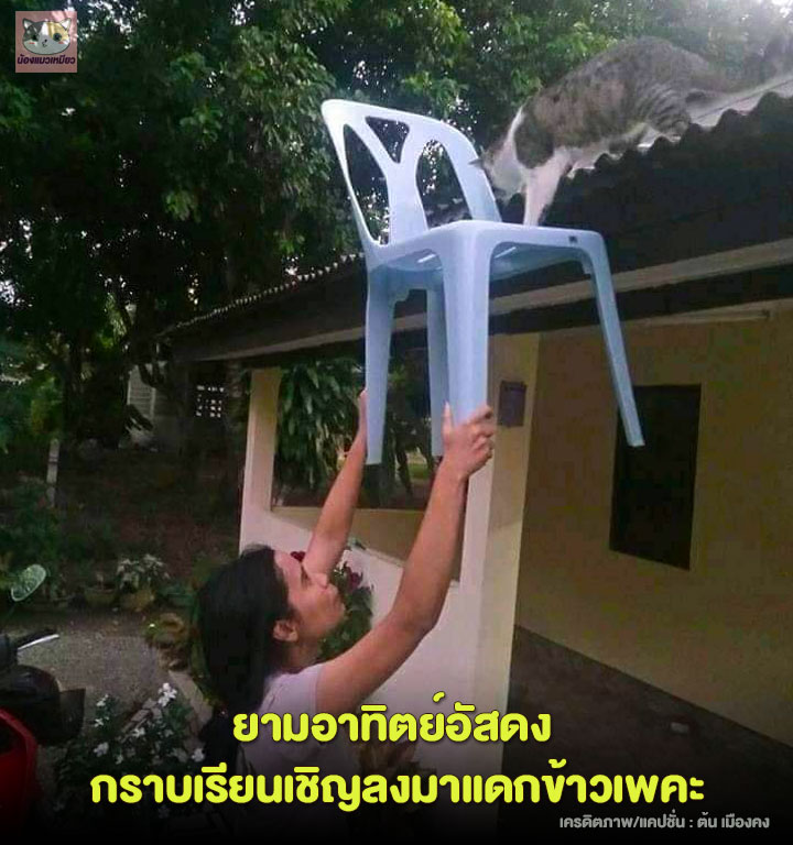 เบ้นสามย่าน tweet media