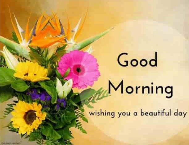 djonemesis's tweet photo. πππ·
Good Morning!
Whishing you a beautiful day! π
#djonemesis #fratellistellari #doriendorion #morning
#GoodMorningTwitterWorld #GoodMorningWorld #music #musica #dance #edm #dancemusic #edmmusic #electronicmusic #Flowers
#joy #bestwish #bestwithsound #BeStrong #Italia https://t.co/WnYZUzYl6i