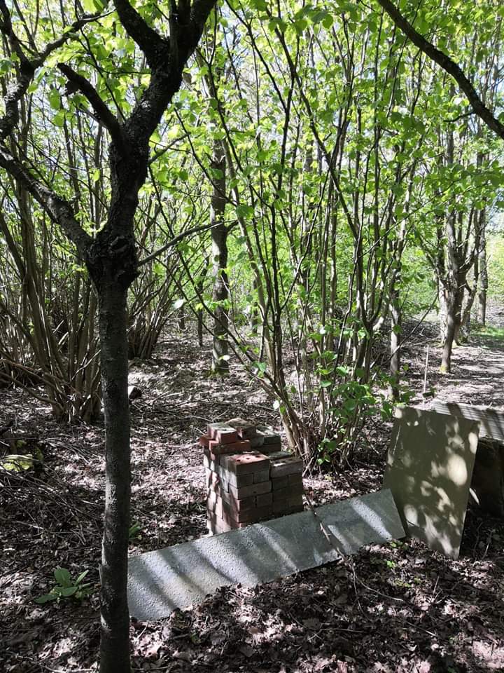 EssexWT_Darren's tweet image. Bat bricks are old news after seeing these shots of a #dormouse at one of the Essex &amp;amp; Suffolk Dormouse Group monitoring locations in Suffolk. Landowner discovered it while moving the pile but all replaced and DM fine. @Mammal_Society @PTES @WildlifeTrusts @EssexWildlife