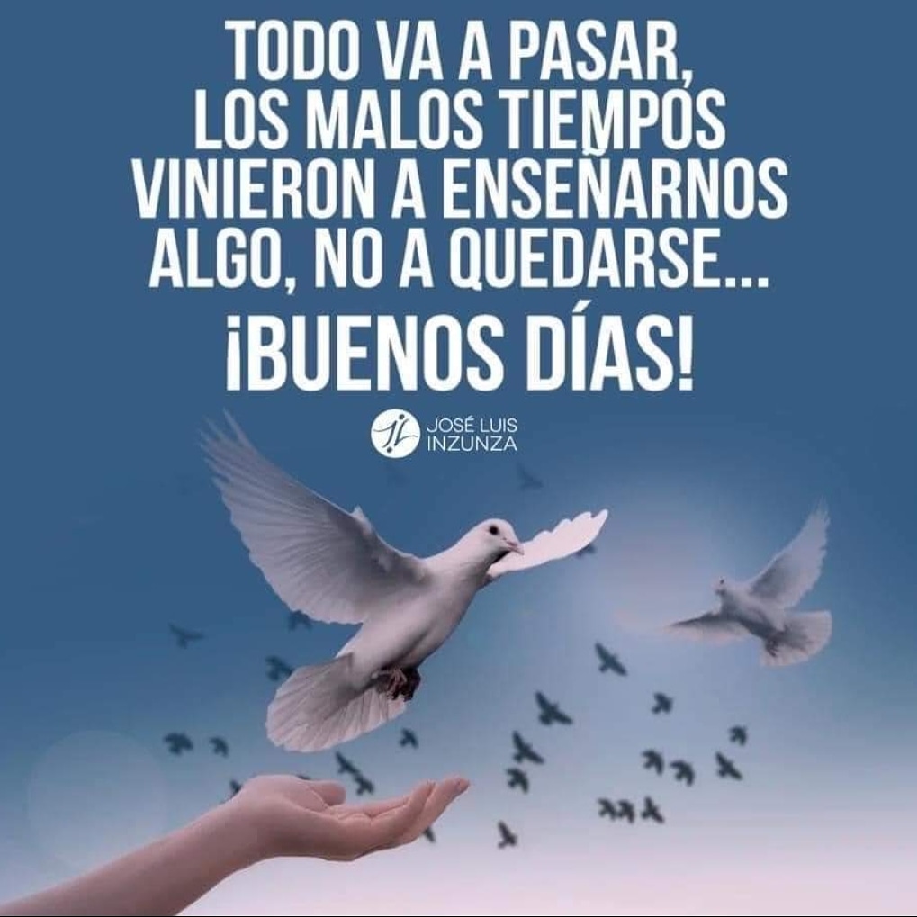 Anselmo Vera S. (@simonverdor3) on Twitter photo 