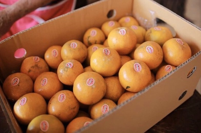 Talad702's tweet photo. ฝากรีทวิตและอุดหนุนด้วยน๊า 😋

ผลไม้สด🍊
https://t.co/hW4o43tg2i

ผลไม้แห้ง ดอง แช่อิ่ม กวน อบ🍋
https://t.co/nAzcdnMrcd
https://t.co/rnn1uEa96m
https://t.co/qYHtlF8sqQ

ของทานเล่น 🥜🍬
https://t.co/1DoyCiwLa5
https://t.co/QVLhxLXcAW

📱สนใจทักเดมได้เลยค่ะ 

#ตลาดนุช
#เป๊กผลิตโชค https://t.co/CMimNIIugb