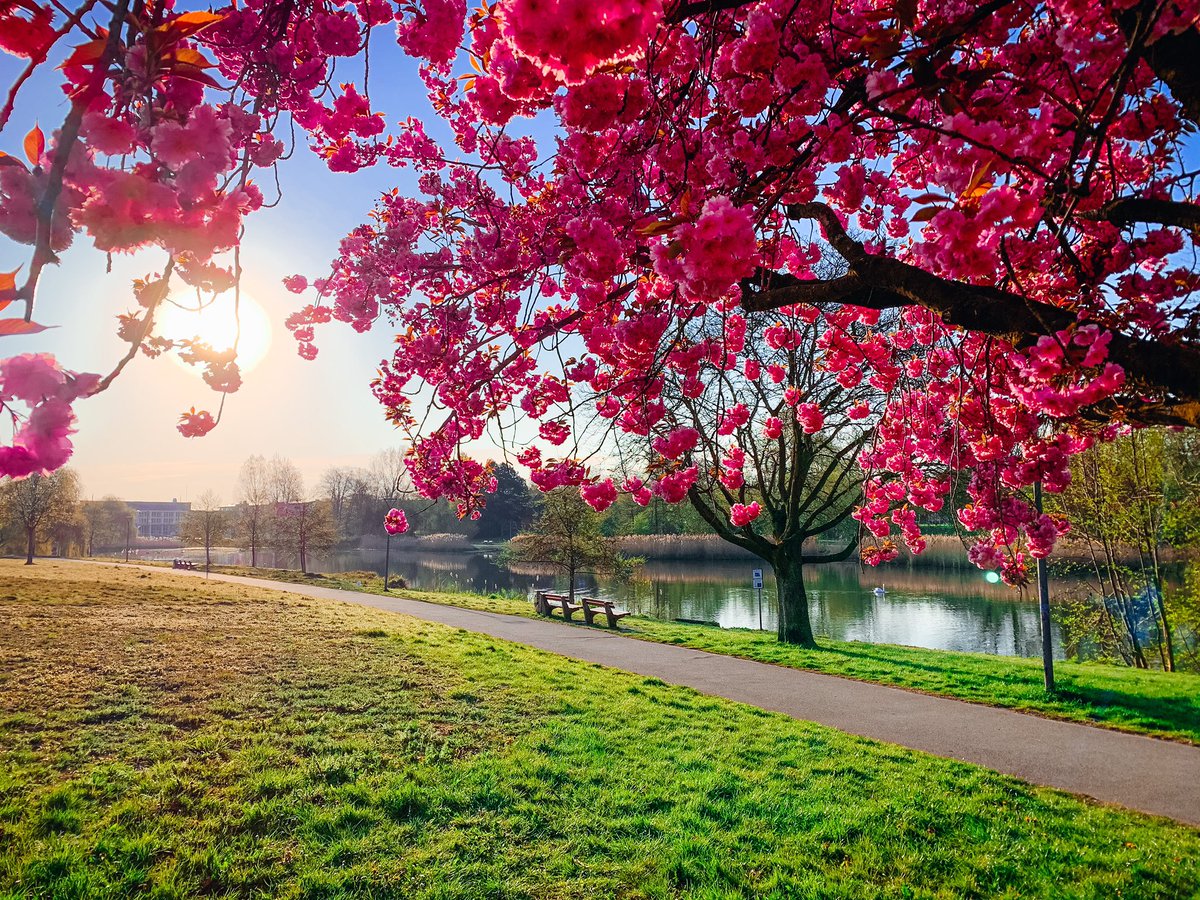 Guten Morgen - auf in diesen herrlichen Freitag. ☀️💕⚓️