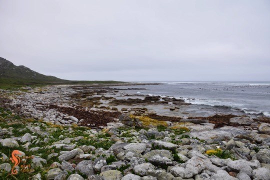 Newsletter: My fellow South Africans learntodivetoday.co.za/blog/2020/04/2…