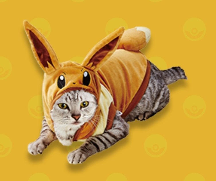 Alpinista tengo hambre fábrica Twitter 上的 PokéXperto:"Nueva colaboración de Pokémon con Petio en Japón con productos para mascotas. Incluye trajes, cojines y juguetes para perros y gatos (1 de 2): https://t.co/y58v8dzSyy" / Twitter Alpinista tengo hambre fábrica Twitter 上的 PokéXperto:"Nueva colaboración de Pokémon con Petio en Japón con productos para mascotas. Incluye trajes, cojines y juguetes para perros y gatos (1 de 2): https://t.co/y58v8dzSyy" / Twitter