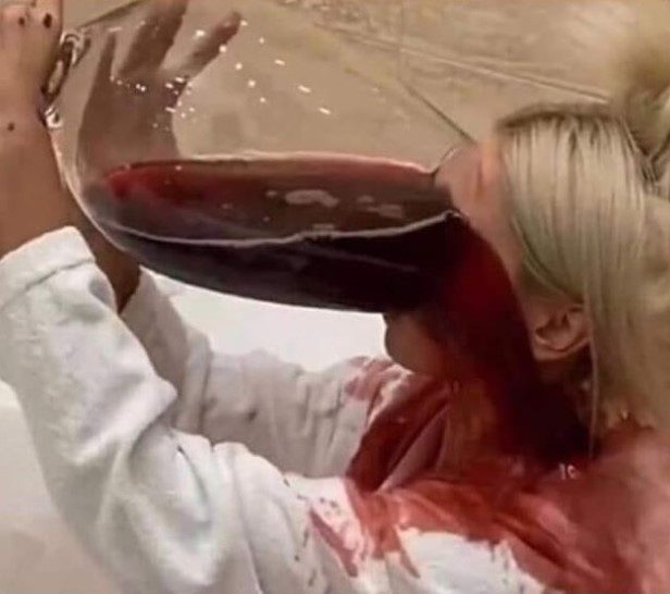 winewankers's tweet image. 2020 - enough said!  

🍷🍾😷😍 #wine