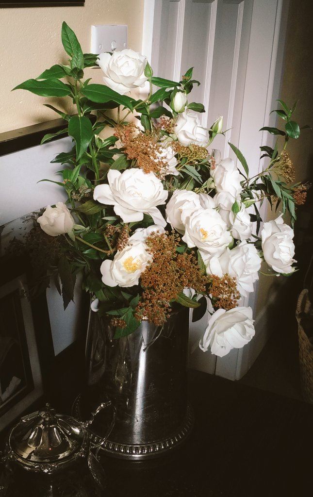 Diggers Mum tweet media