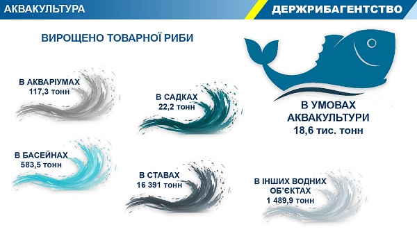 darg_ua's tweet photo. Методично-технологічний центр з аквакультури провів аналіз виробництва продукції аквакультури 🐟 в Україні 🇺🇦 за 2⃣0⃣1⃣9⃣ рік

Деталі 👉 https://t.co/5Me9bhdV4h https://t.co/H2LikmhkqW