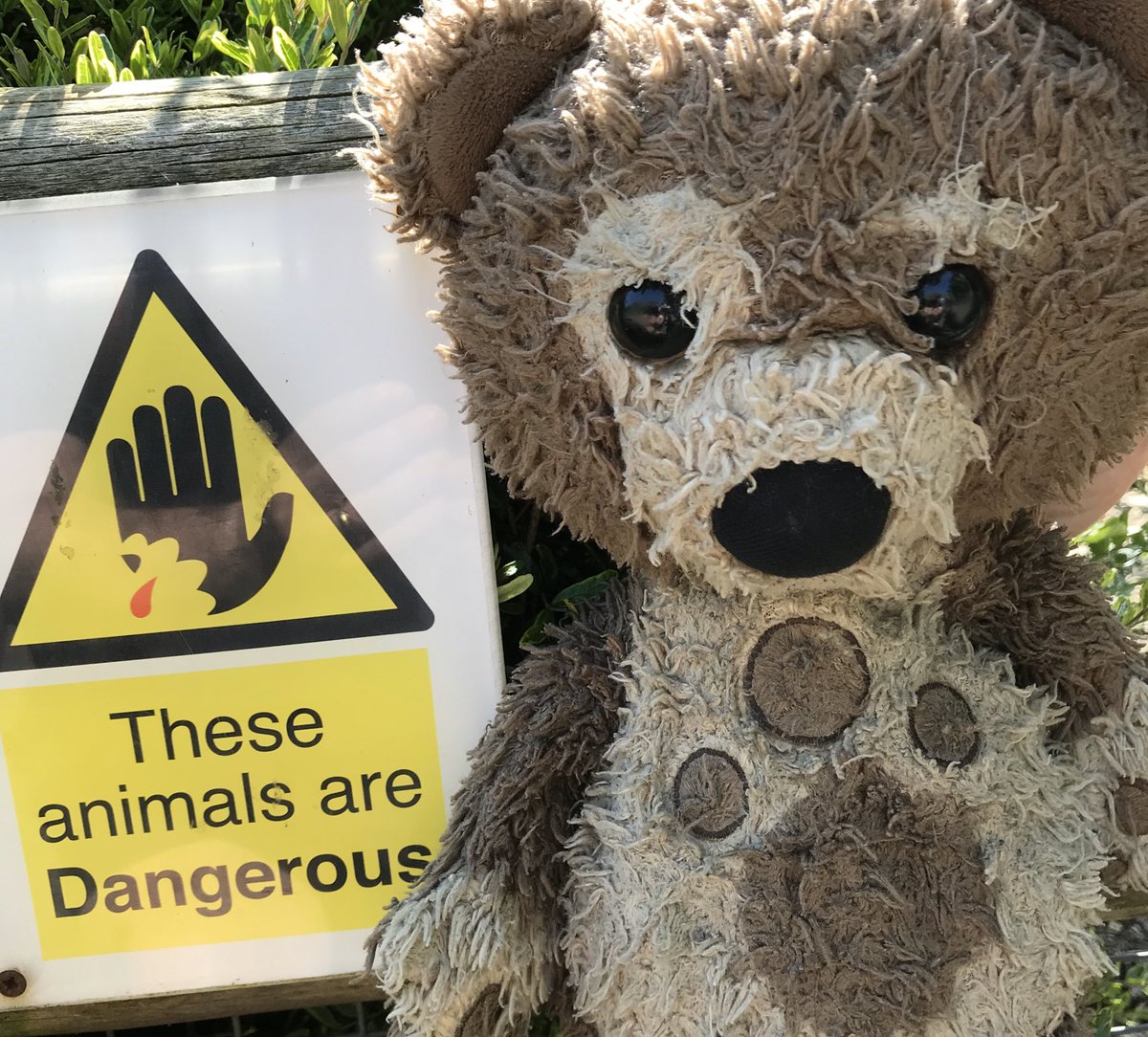 We wanted to share a tale for you  #StayAtHomeHeroes. How doing the bear essentials is helping a well loved and essential bear protect his little human & the most vulnerable in our communities.