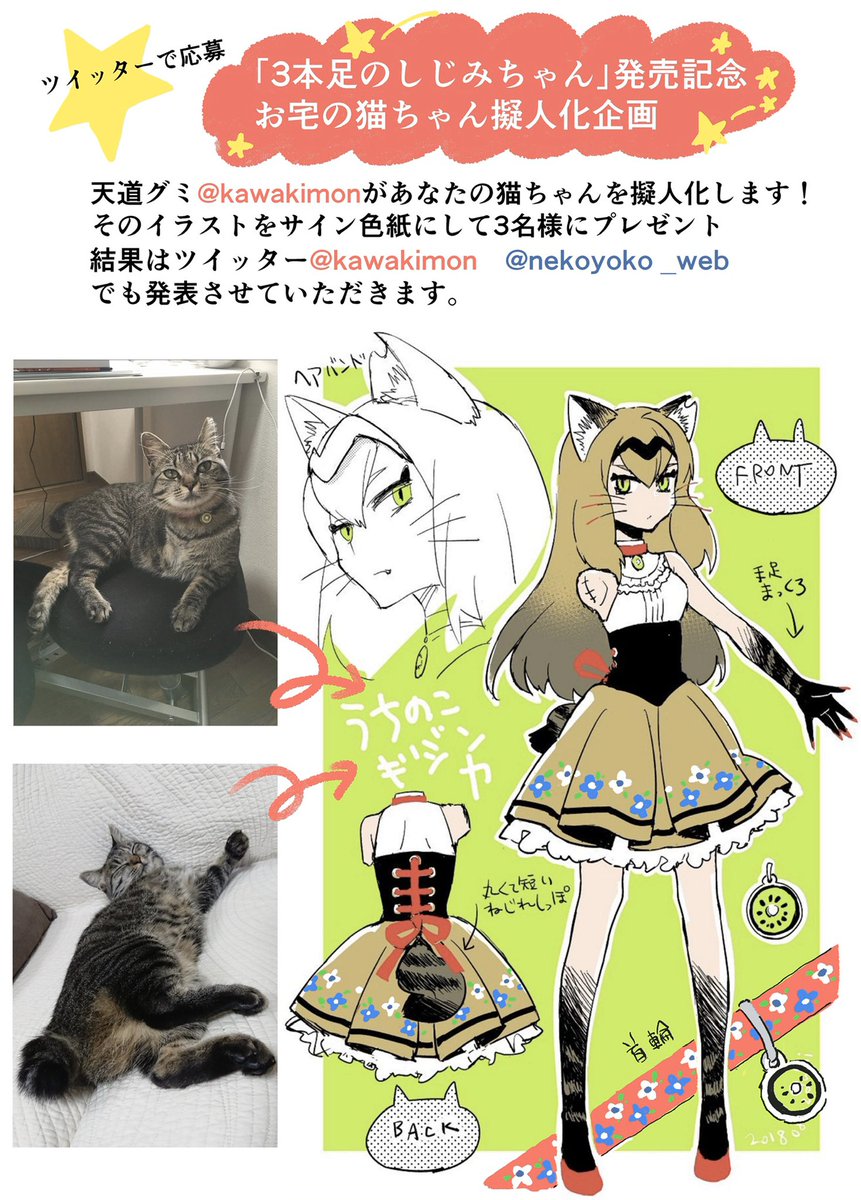 あなたのネコちゃんギジンカします!
「お宅の猫ちゃん擬人化企画」

#3本足のしじみちゃん 