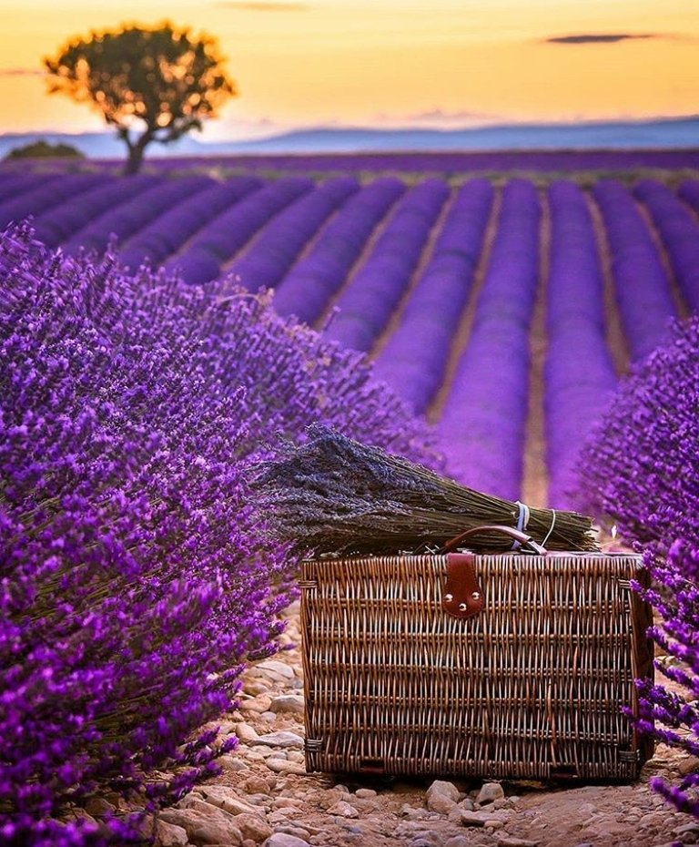 🦋💗 Nᥲtᥲᥣιᥱ 💗🦋 tweet media