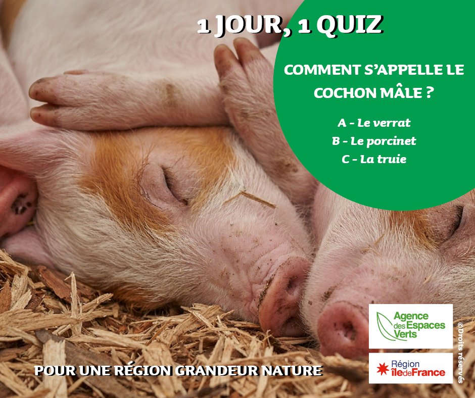 idfnature's tweet photo. 1 JOUR,1 QUIZ

Semaine de #confinement6 ! L’AEV continue de vous proposer de parfaire vos connaissances sur la nature ! Un livre sur la découverte du monde forestier sera envoyé à 3 personnes qui auront trouvé la réponse ! L’envoi sera fait après la période de confinement. https://t.co/2WHQguZZoz