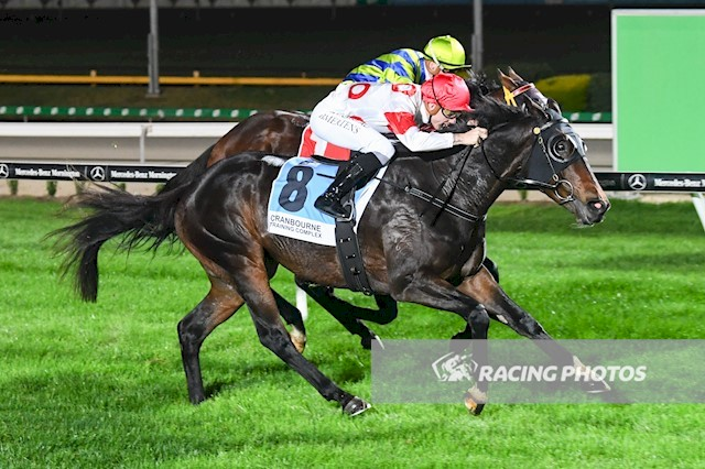 vicbreeders's tweet photo. *Happy Hylands* PRIDE OF PYINGERRA bred/raced/trained for the Hyland Family wins at @CranTurfClub tonight. Pride Of Pyingerra is by Reward For Effort and picks up the SUPER VOBIS &amp; VOBIS GOLD a huge result for the team. Congratulations to the family! https://t.co/cvh2MUK6DQ