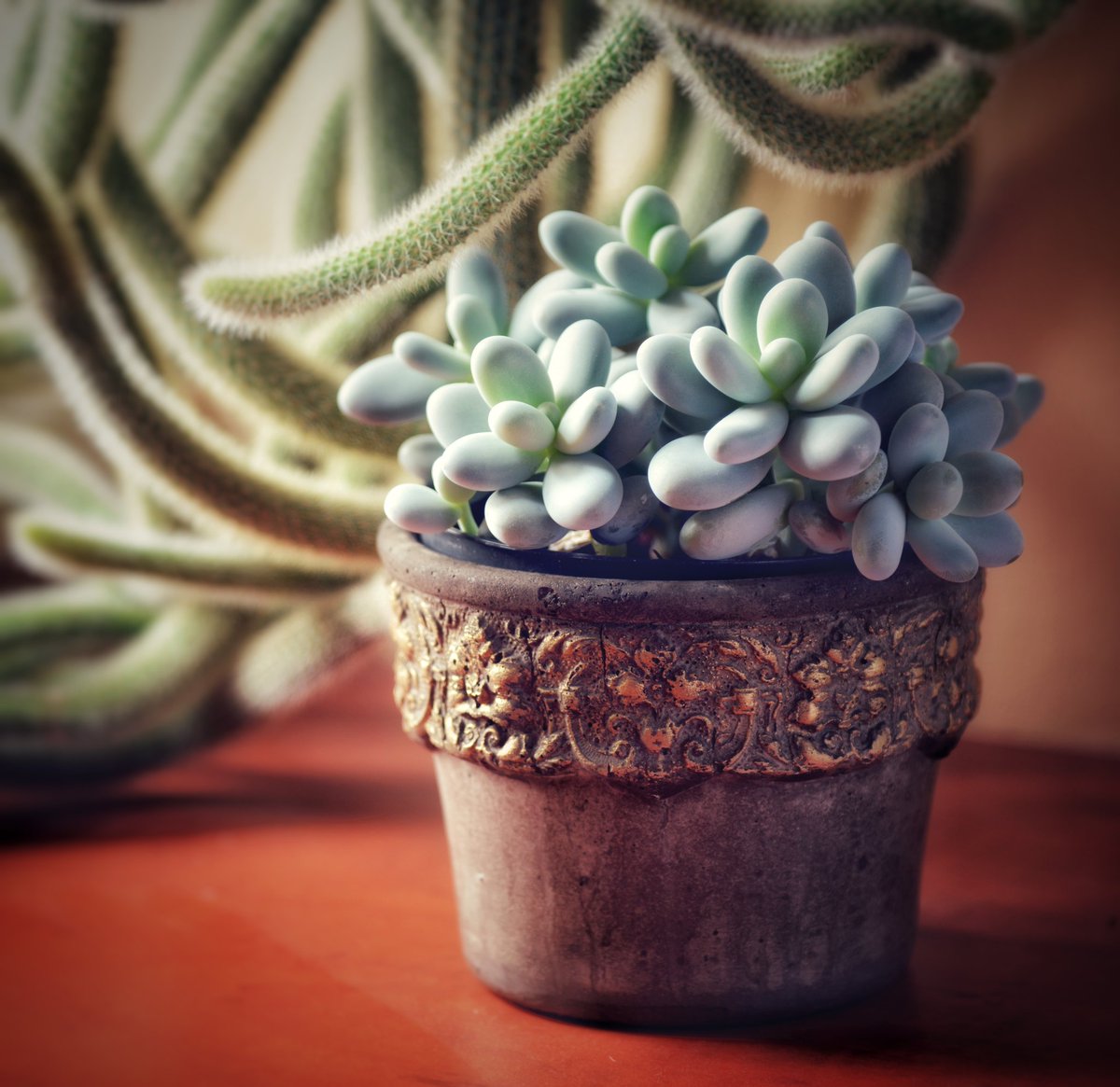Betome6's tweet photo. Jen tak pro radost! ❤🌱
#betome #kvetinac #kvetina #betonovykvetinac #beton #concrete #concreteflowerpot #jaro #spring #vyrobenovcesku #vyrobenoslaskou #madeinczechrepublic https://t.co/oCQl5wiN9Q