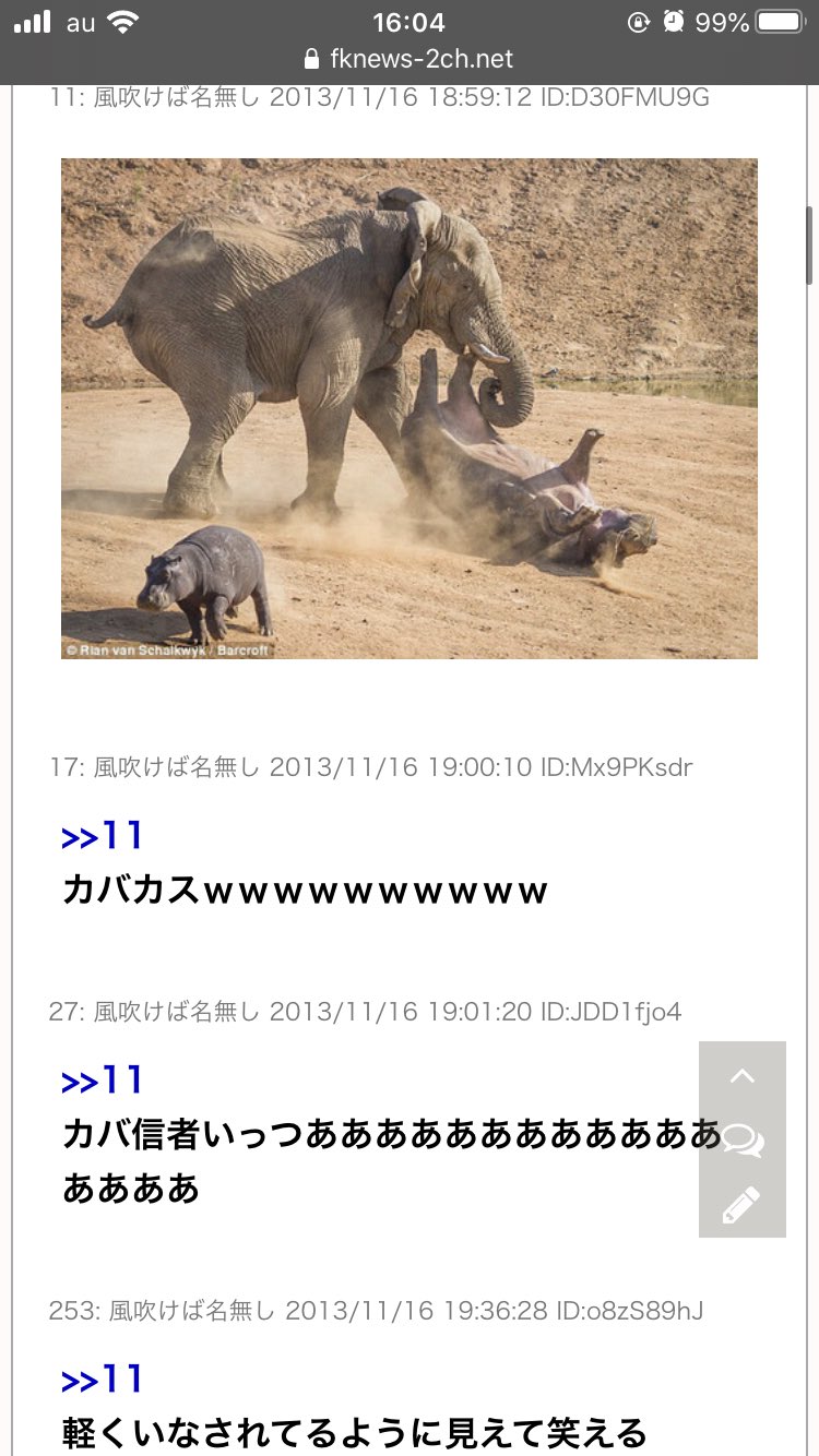 1月23日zbcg集会中止 らんぼるぎーに Gannontoise Monekosh 有名ななんjのゾウカバスレにも出てくる画像ですねw T Co F8h2rsgdyx Twitter