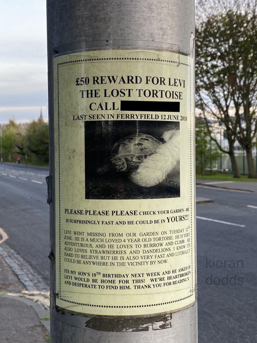 Have you ever seen a poster for a missing tortoise? Me neither, until last night when I spotted this in north Edinburgh. Quick readers will notice it is dated July 2018, so it’s old news right? Wrong! Think again. This is the story the MSM have kept from you, until now.