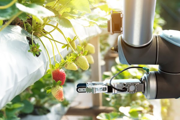 FreshPointMag's tweet photo. #Agricoltura 4.0, un mercato da 450 milioni

Quali sono le soluzioni di #trasformazionedigitale 

#innovazione #blockchain #smartfarming

https://t.co/5KTw677dW2 https://t.co/d4PBgMITvP