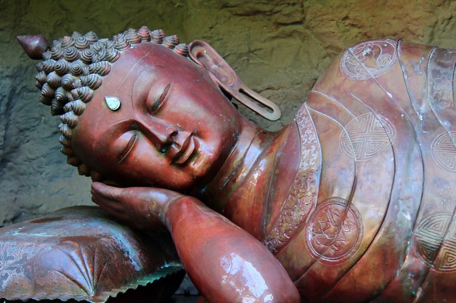 ZennlArnhem's tweet photo. https://t.co/EIQs7NmTTR Nederland | Meer รฉn minder slaap met zen https://t.co/QPI4ehS1cV
#zennl #zen #zenmeditatie #zenactueel #blog #zennlarnhem #nederland #samenmediteren #slapen #rust #mentalerust #mindfulness #mind #mediteren #meditatie https://t.co/lkdFT3I6lT