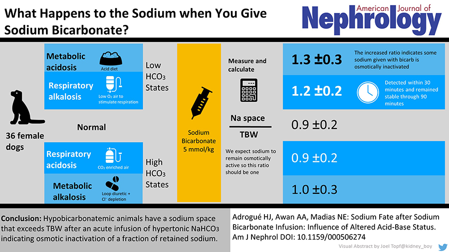 Sodium Fate after Sodium Bicarbonate Infusion: Influence of Altered Acid-Base Status 
✍️ Horacio J. Adrogué 
📄 bit.ly/3aAWtQU 
#AmJNephrol #socium #electrolytes