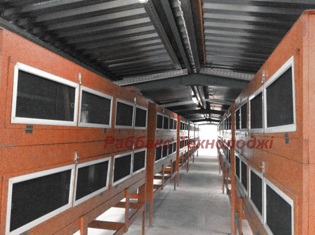 Rabbitax's tweet image. Найміцніша валюта та, яку ти випускаєш  власними руками. Кролегосподарство, мале чи велике - це насамперед продукція з постійним попитом та міцним курсом такої валюти 🙂