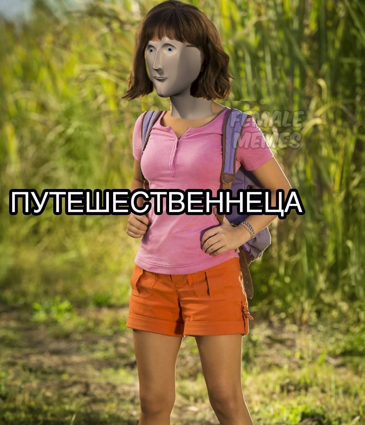 Путешественник Мем Stonks