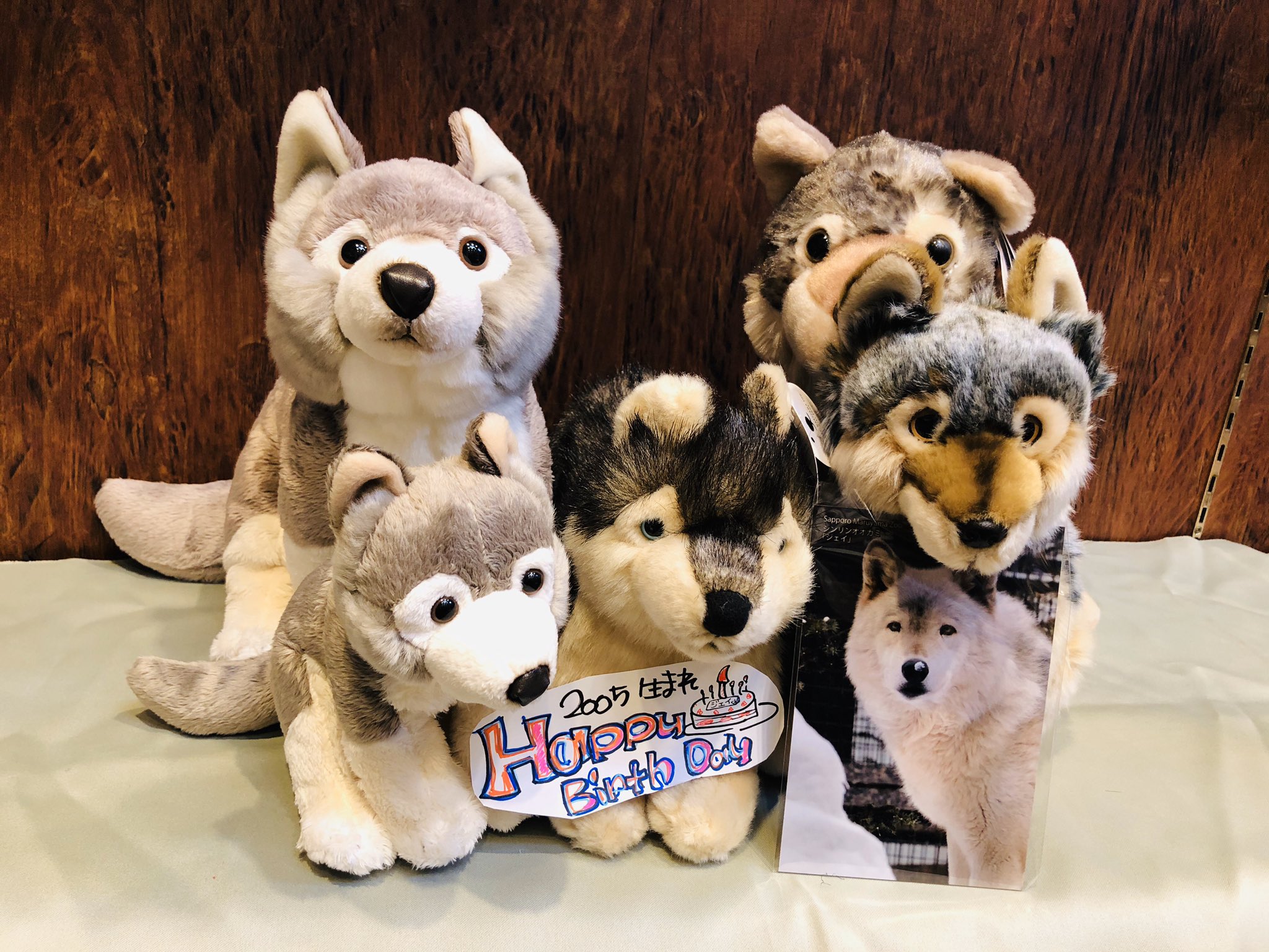 円山動物園オフィシャルショップ (@kidspromotion) / X