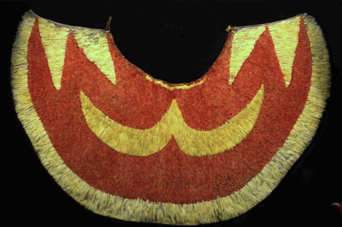 3. A Chief’s feather cape. This huge Hawaiian cape, crafted using hundreds of feathers from tropical honeycreeper birds, would have been worn by a high-ranking Chief on occasions when he wanted to dress to impress. It was donated to the museum in 1834-5.  #MuseumsUnlocked