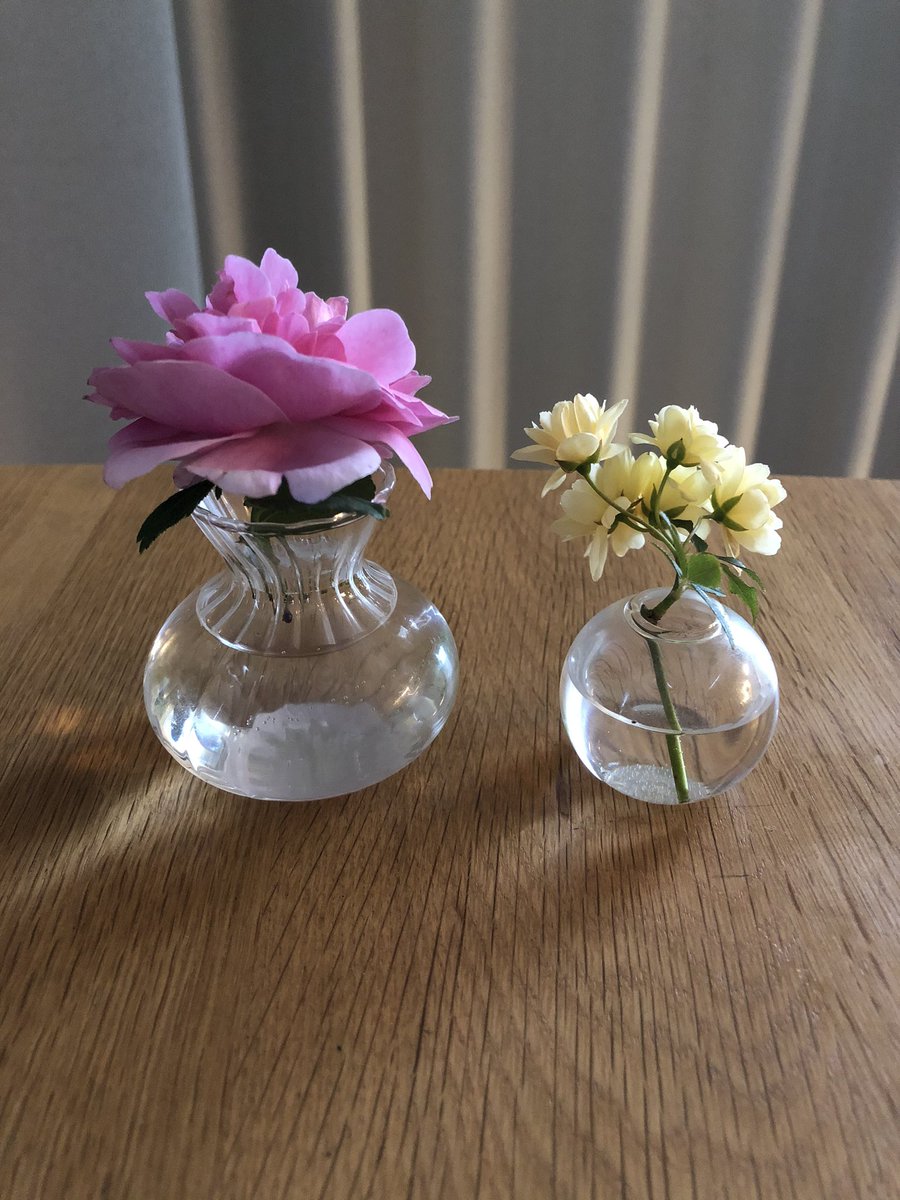 Peko 百均で売ってる小さい花瓶 ベランダで育てている花を飾るのにちょうどいいサイズ