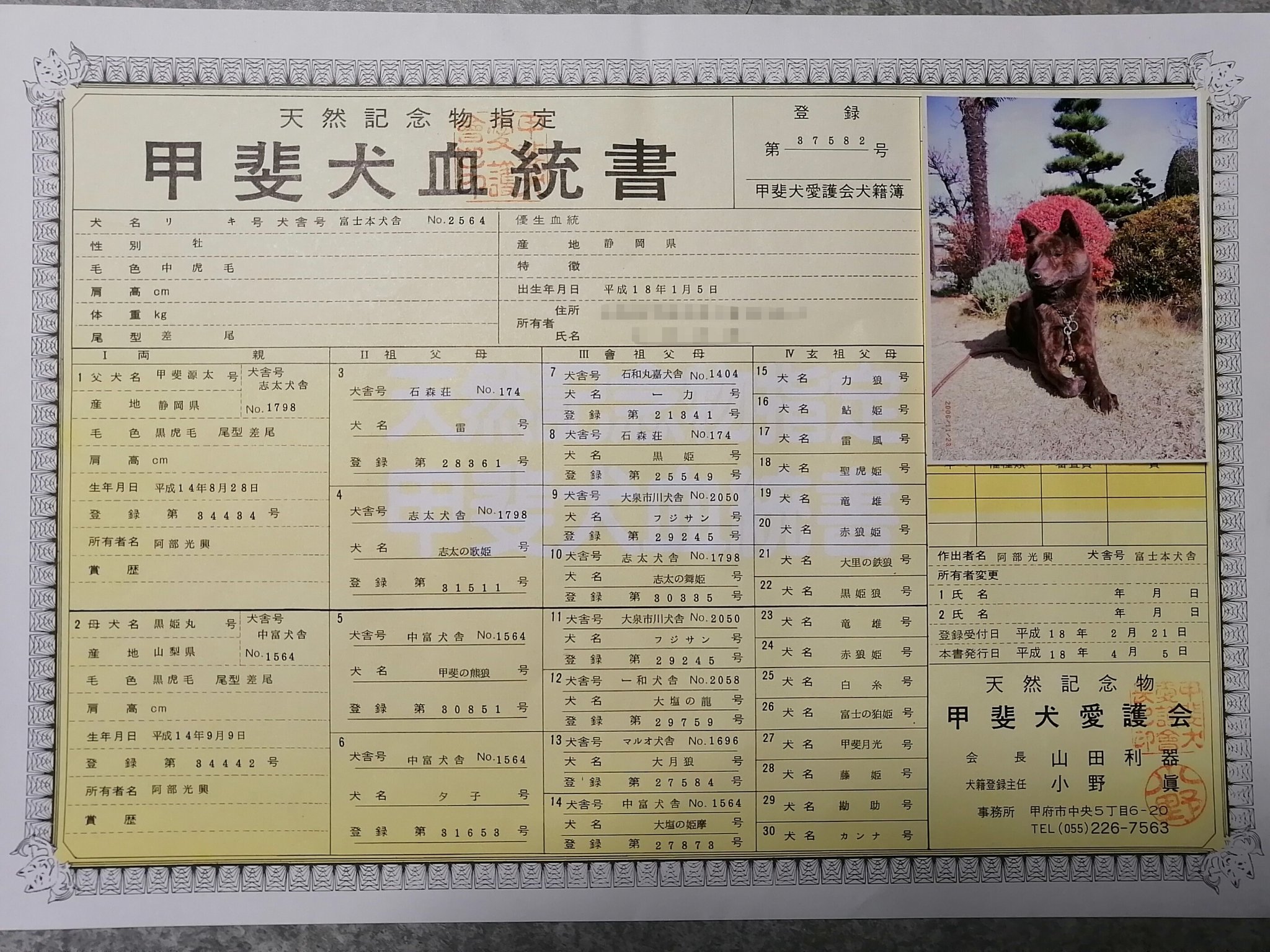Kondara00 隊長の父ちゃん母ちゃん 血統書の書式が違うのは よく分からん W 隊長の名前はもちろん 本来は秋田犬だけど 銀のお父ちゃんから 銀牙 流れ星 銀 でリキと銀を知り 実物の秋田犬を見た時 えっ って思われた方も多い Kondara00 隊長の父ちゃん母ちゃん 血統書の書式が違うのは よく分からん W 隊長の名前はもちろん 本来は秋田犬だけど 銀のお父ちゃんから 銀牙 流れ星 銀 でリキと銀を知り 実物の秋田犬を見た時 えっ って思われた方も多い