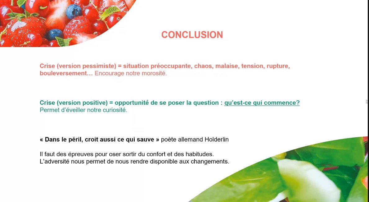 10. Synthèse : La société développe des alternatives pour répondre à de nouveaux besoins et souhaite mieux communiquer. Impact  #COVID19 à prévoir ("L'année 2020 va être compliquée") mais, la situation bilantielle du groupe devrait leur permettre de passer cette crise.