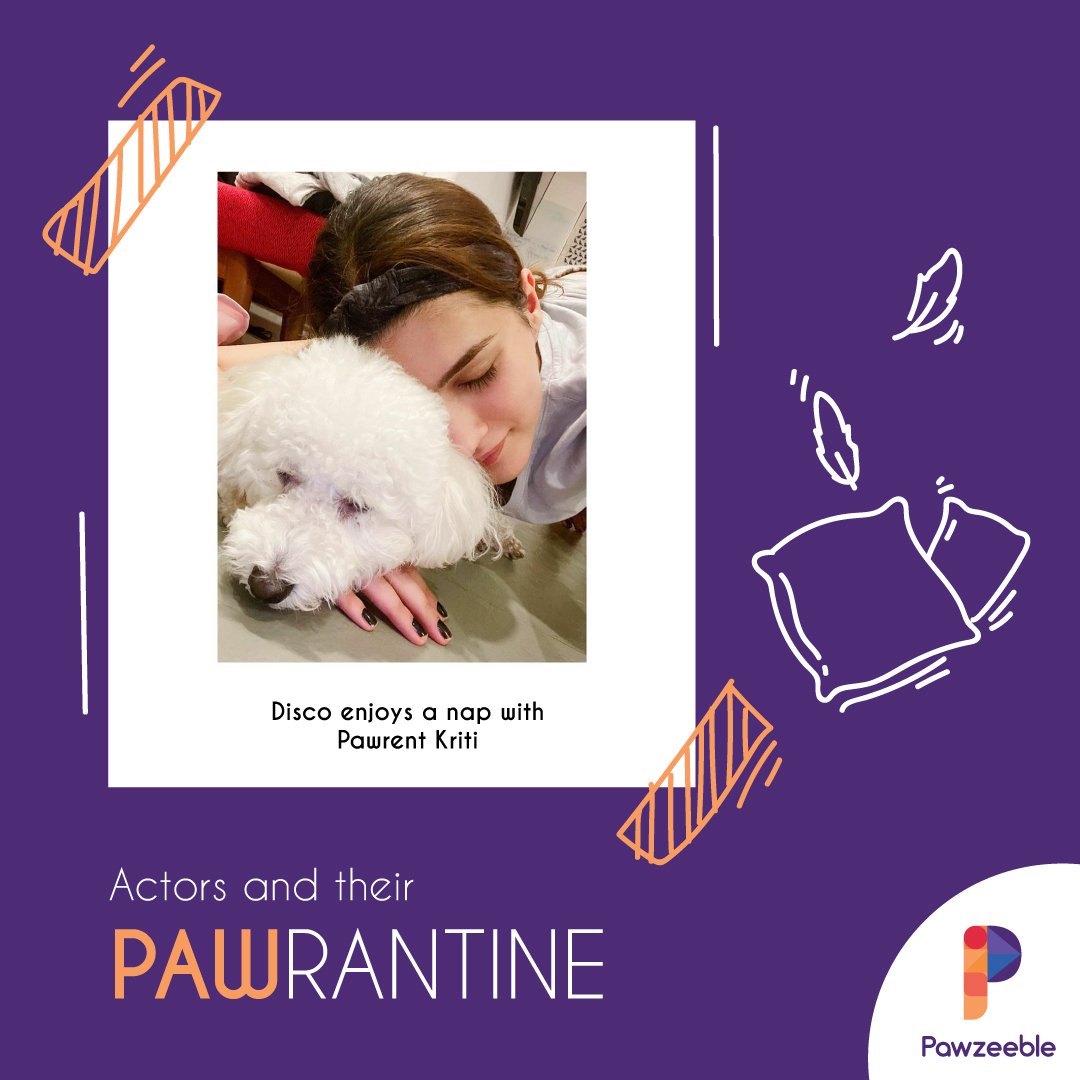 pawzeeble's tweet photo. Pawrantine Contest Alert!
Share photos/videos with your pet on twitter/ IG feed &story and tag us to stand a chance to be featured on our page.
#pawrantine #petcontest #petcontests #realpetscontest #celebritypets #celebritypet #quarantinewithpets #quarantinepets #quarantinecats https://t.co/RXDWLAhTlP