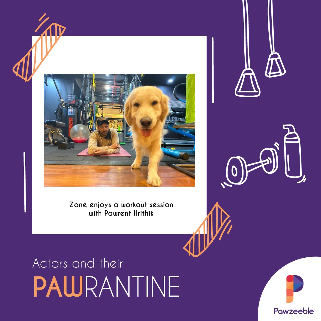 pawzeeble's tweet photo. Pawrantine Contest Alert!
Share photos/videos with your pet on twitter/ IG feed &story and tag us to stand a chance to be featured on our page.
#pawrantine #petcontest #petcontests #realpetscontest #celebritypets #celebritypet #quarantinewithpets #quarantinepets #quarantinecats https://t.co/RXDWLAhTlP