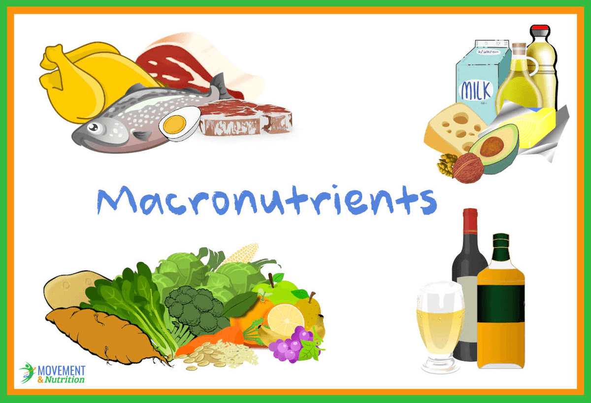 MoveNutrition's tweet photo. A healthy eating guide to Macronutrients  Understanding #Macronutrients – protein🥩fat 🧈 carbohydrates🥖and, yes, alcohol🍷– is central to #HealthyEating. But obsessing over them isn’t. This article separates what matters from what doesn’t and why.
https://t.co/RCrmYLdHMm https://t.co/TnDvL6FODq