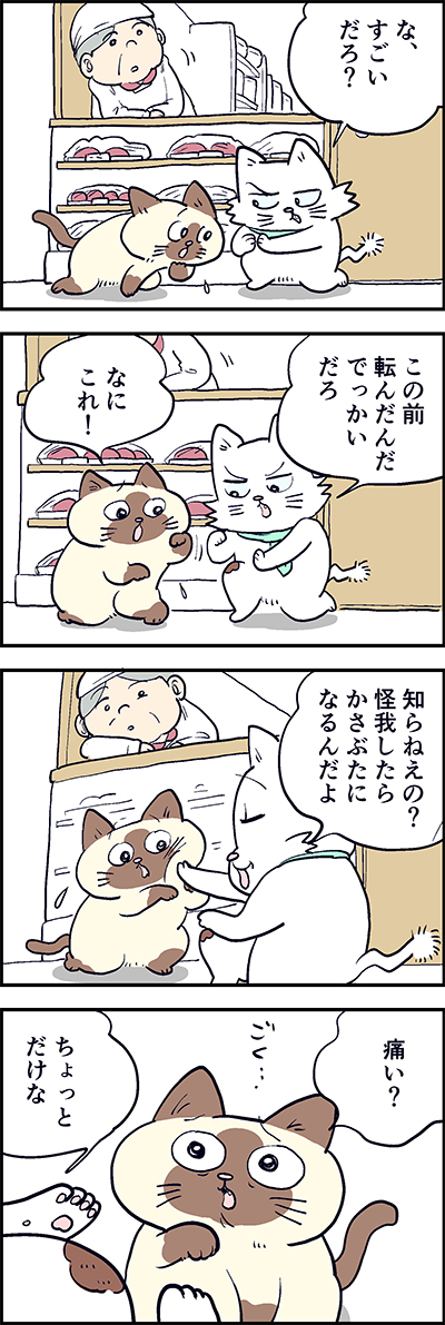 コルくんから電話? 

第61話「電話の約束」 

『猫のおふくちゃん』の最新話は毎週金曜日に連載中♪ 
⇒(https://t.co/WAfWzEXwYg )

 #猫のおふくちゃん 