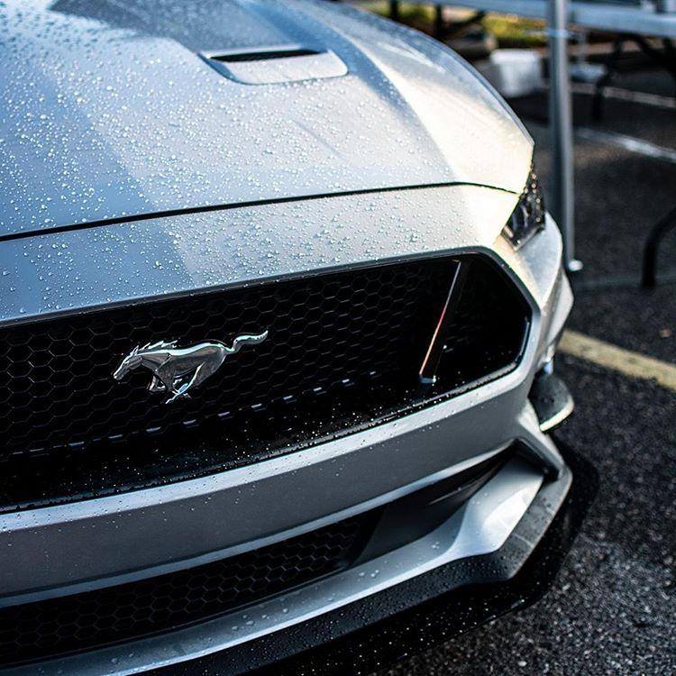 Ford Salamanca tweet media