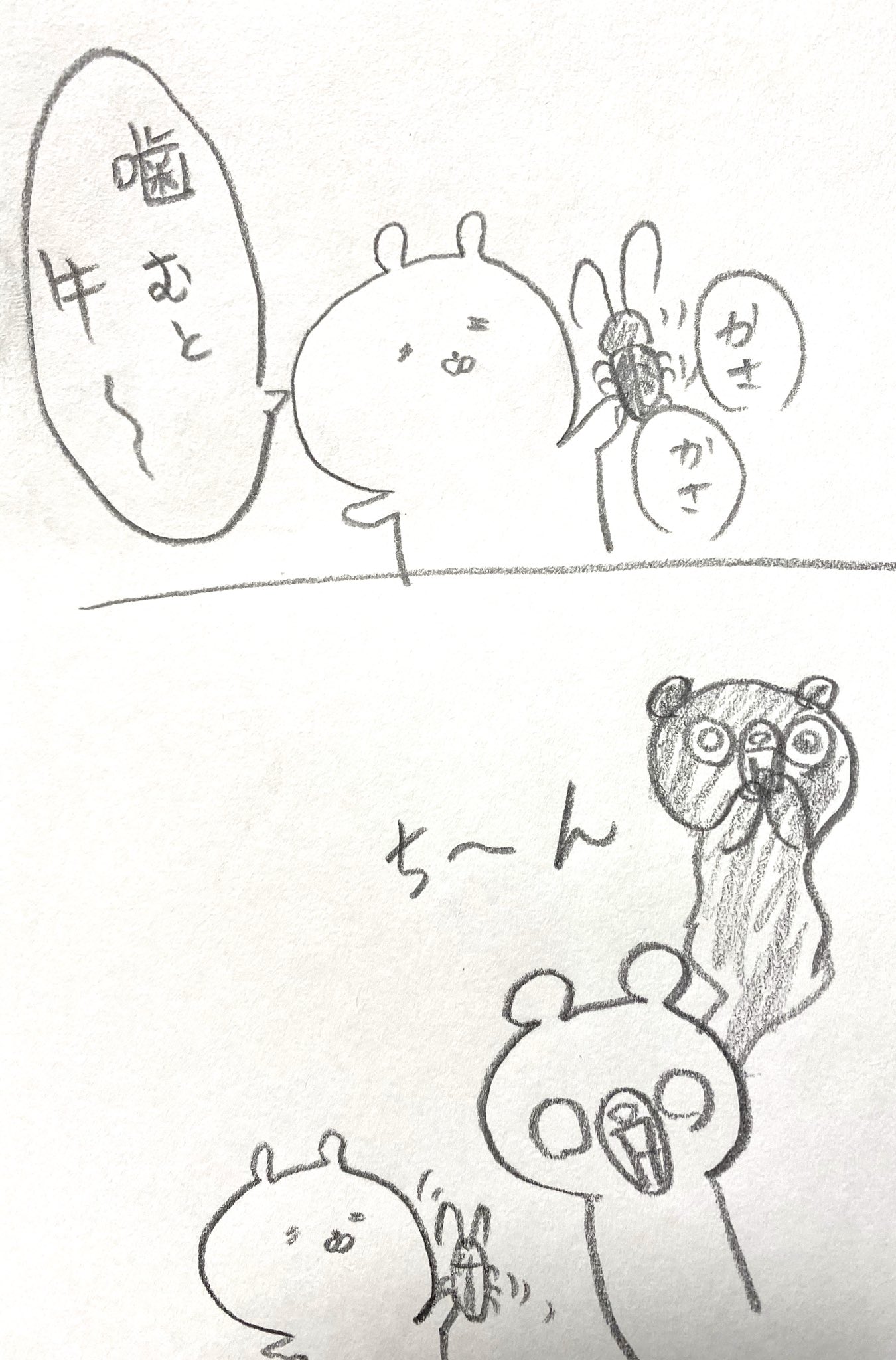 ポんちゃん ｃ ａ うさまる うさまる 噛むと牛 うさまるが噛むと牛を連呼 よくよく聞いていくと カブトムシ の事らしいが カブトムシが言えなくて 噛むと牛になるらしい 笑 カブトムシを取ってき